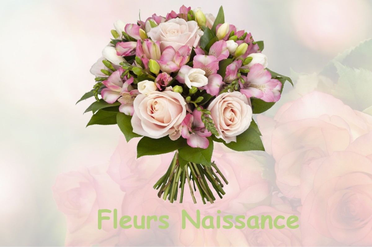 fleurs naissance BIGNICOURT-SUR-SAULX