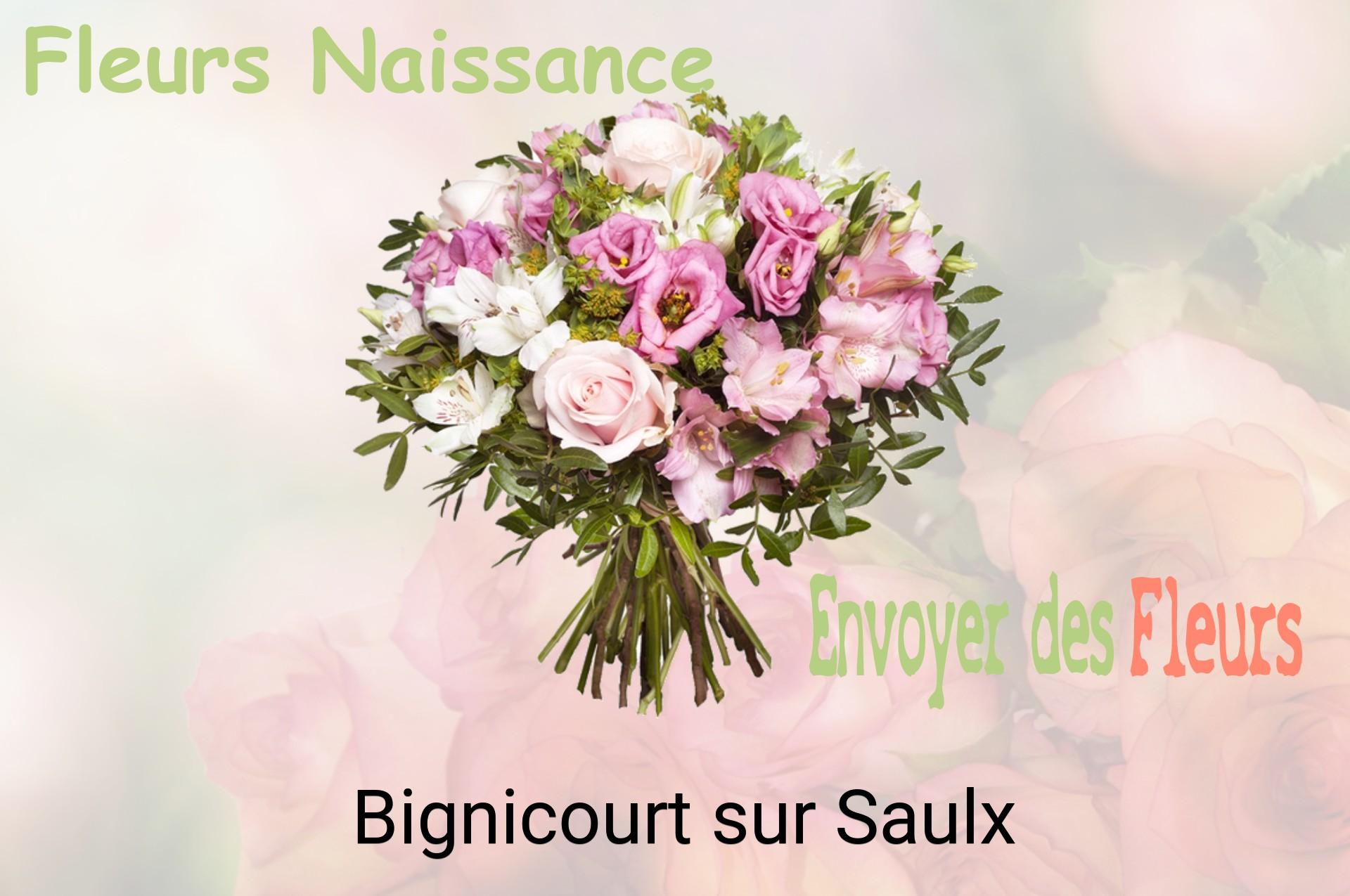 Bouquet de fleurs de naissance livré à Bignicourt-sur-Saulx